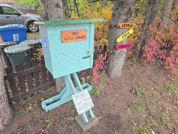 Little Free Libraries adding a bright spot of community good in the neighbourhood