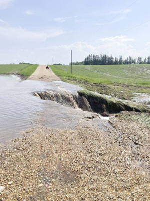 Flood Waters