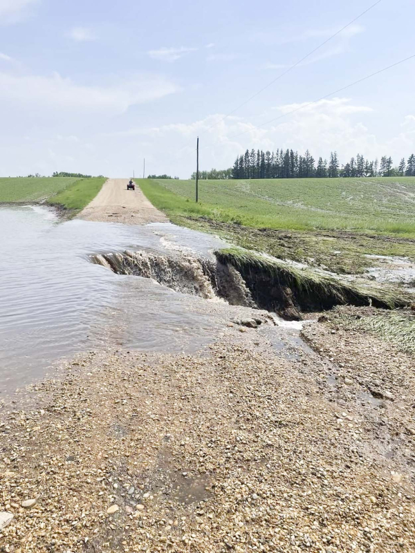 Flood Waters