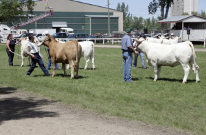 Dauphin Agricultural Society Fair and Exhibition makes its return