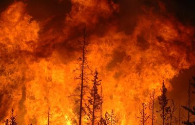 Community wide effort to prepare for wildfire  season