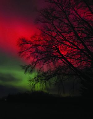A gorgeous array of colours