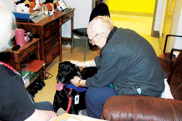 A Little - or Big - Bit of Four Legged Love