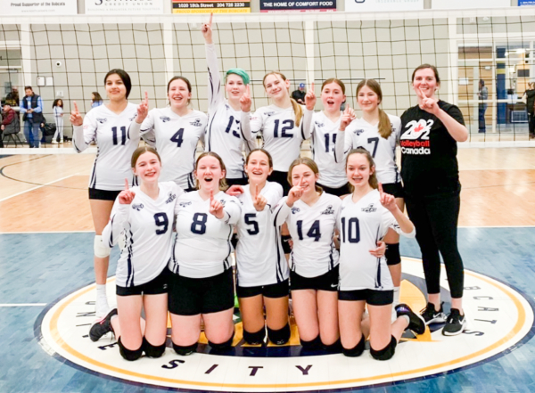 Vipers conquer the hardcourt