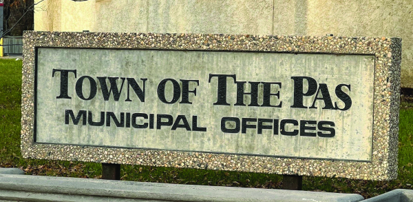 Town looks at committee to oversee Canada Day events