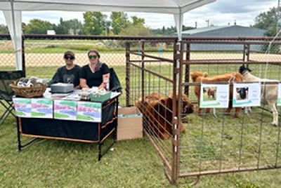 Fall harvest festival a hit