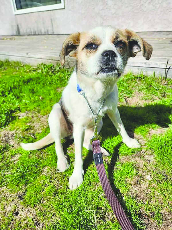 Community heroes step up to rescue Lila