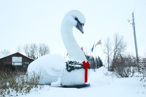 Happy Brr Year