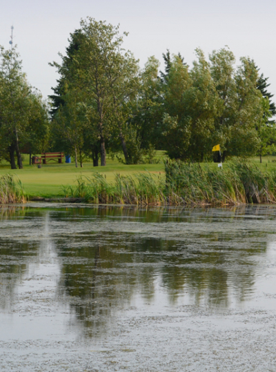 Golf club holds AGM