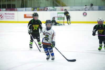 Home ice advantage