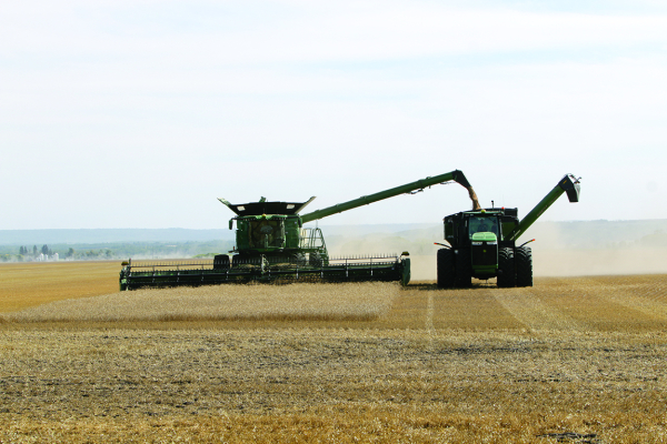 Taking off the Crop