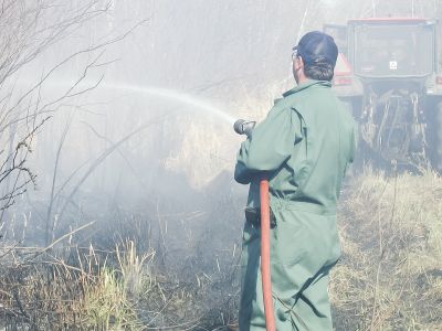 Grass fires are keeping DFD extremely busy
