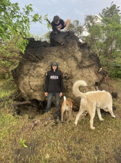 Storms cause damage throughout the area