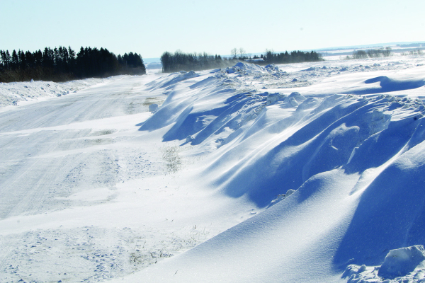 DEEP FREEZE