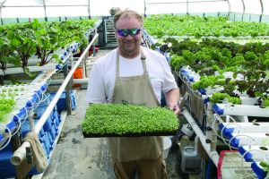 Barefoot Farms growing big or small green foods for your table
