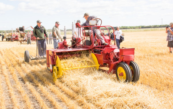 Threshing Day!