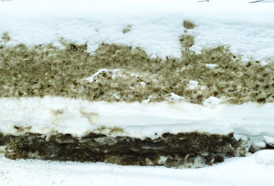 Layers of winter