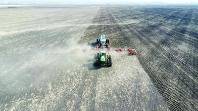 ‘Tis the Season for Seeding