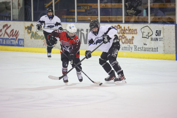 Home Tournament Action: