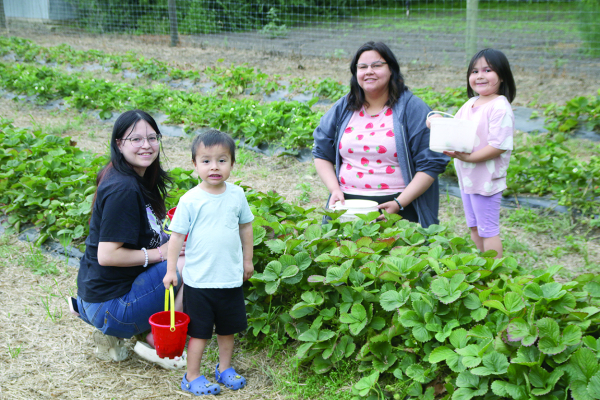Berry Pickin'