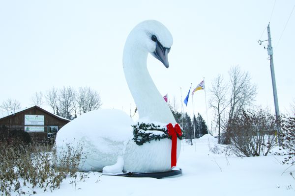 LOOKING BACK AT 2025 - HAPPY BRR YEAR
