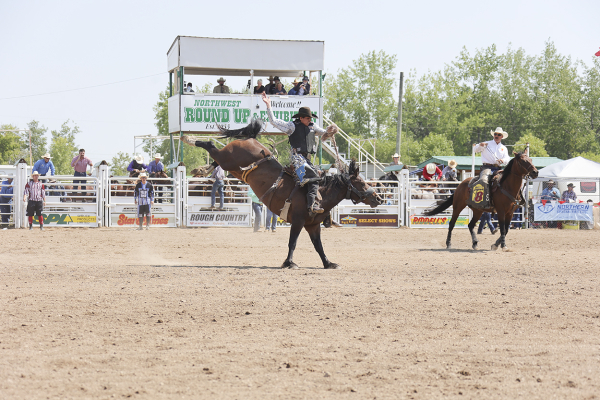 Rodeo Action