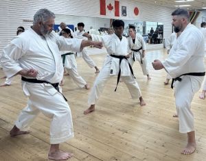 Midwest Karate competes