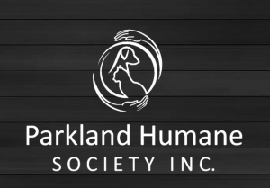Kitten abandonment sheds light on problem pet ownership, says PHS