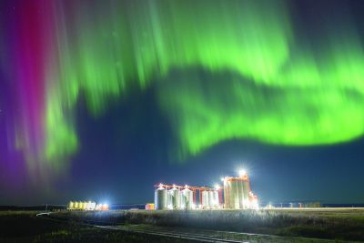 Nightly Aura