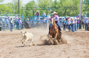 Ride ‘em, cowgirl