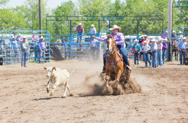 Ride ‘em, cowgirl