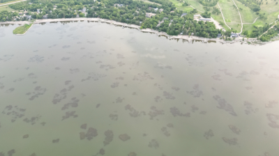 Group forms to tackle weed problem in Dauphin Lake