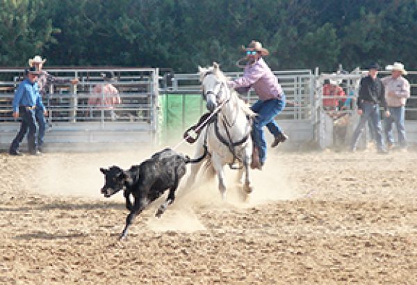 Roblin wins Rodeo of the Year honours