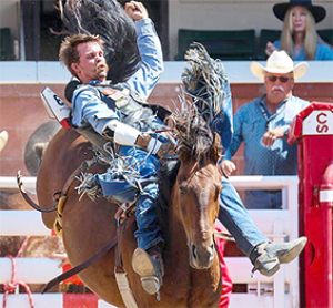 Another Stampede for Larsen