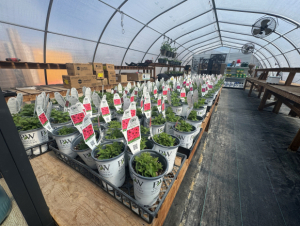 Planning for the gardening season