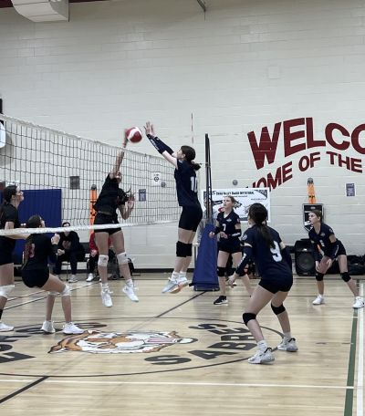 Blocking the Shot