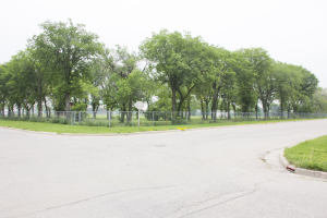 Way clear for day care development