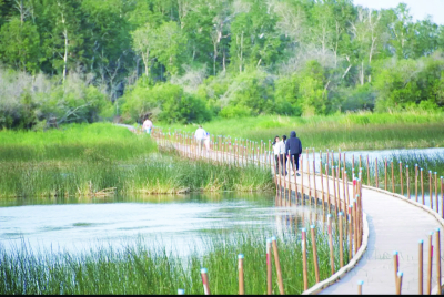 Opasquia Trails has soft opening for boardwalk