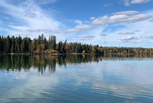 Cottage owners concerned