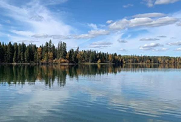Cottage owners concerned