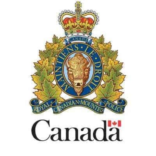 Estevan man sentenced