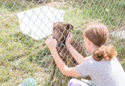 Parkland Humane Society in desperate need of volunteers