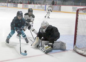 Hockey Day in Roblin