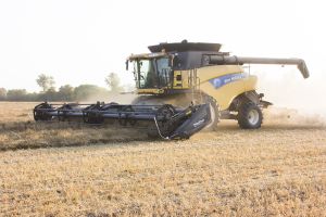 2024 harvest well underway in the region
