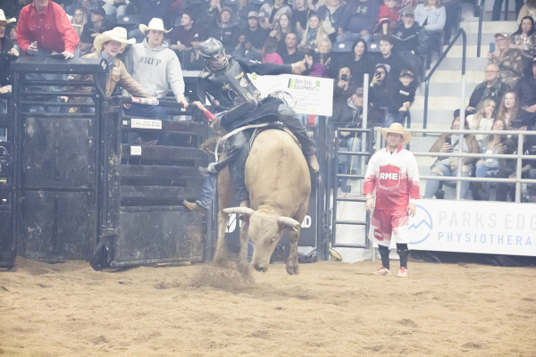 That's some bull