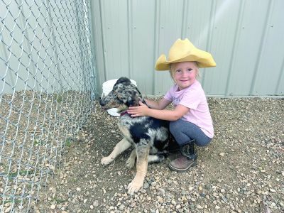 Can we keep him?