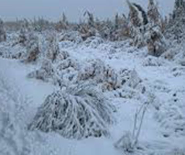 First winter storm comes early